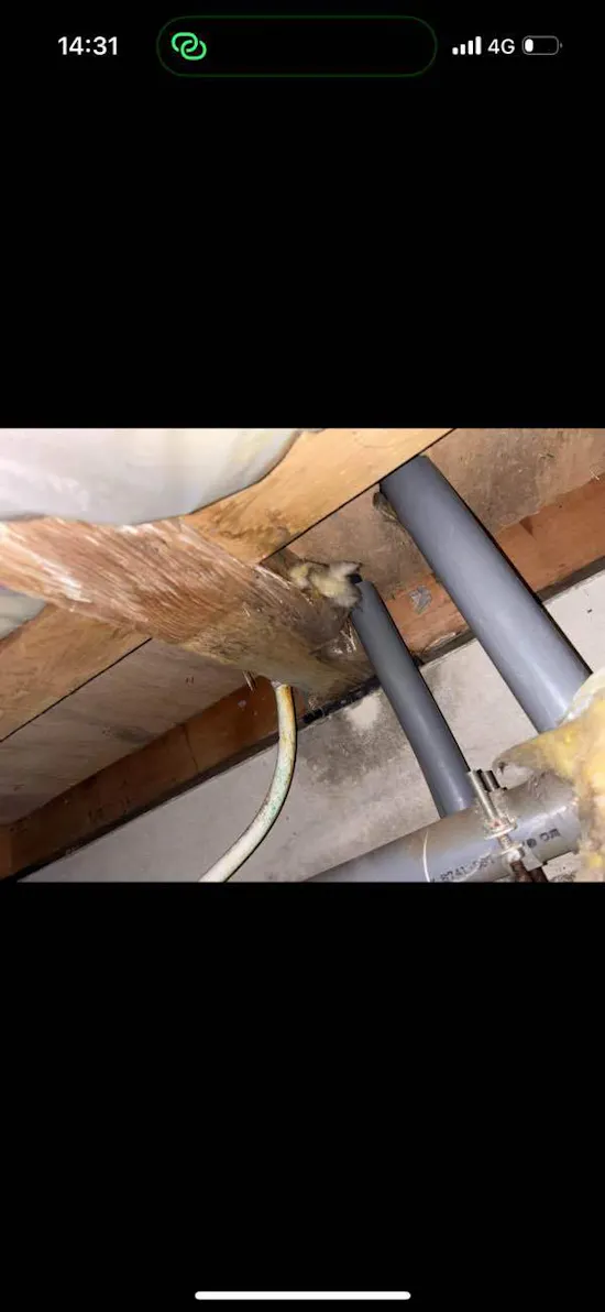 工事前　埼玉県鴻巣市のお客様のその他工事