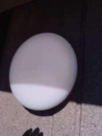 東京都青梅市のお客様の玄関灯交換工事