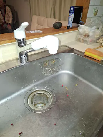 宮城県仙台市のお客様の水栓工事