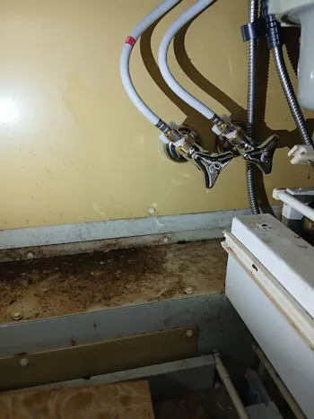 茨城県小美玉市のお客様のキッチン水栓交換工事　具体的な工事内容1