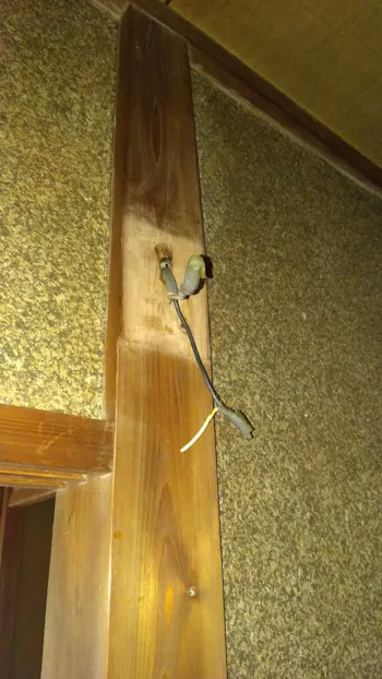 東京都青梅市のお客様の玄関照明交換工事　具体的な工事内容1