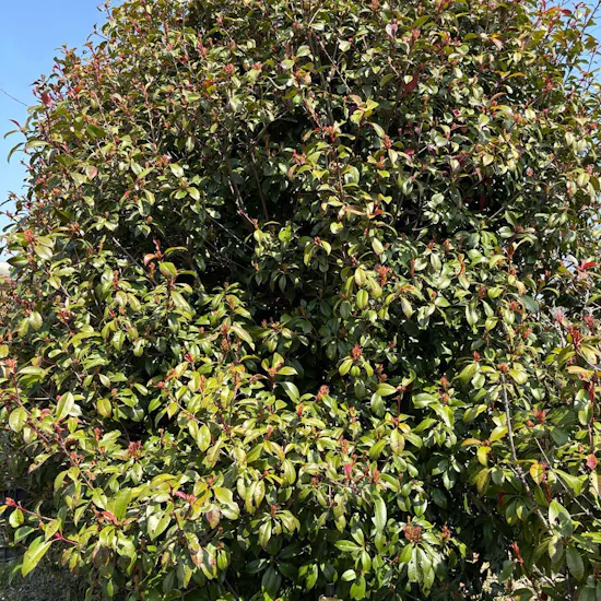 工事前　長野県松本市のお客様のセンサーライト取付工事