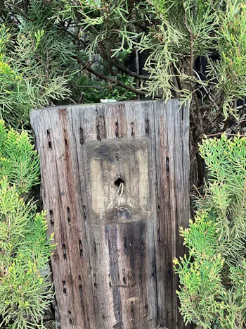 埼玉県所沢市のお客様のドアホン交換工事　具体的な工事内容1