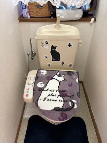 群馬県安中市のお客様のトイレ工事　具体的な工事内容6