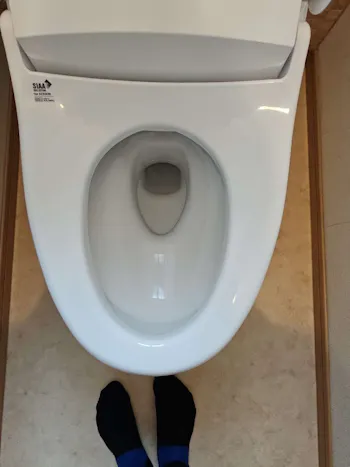 三重県津市のお客様のトイレ交換工事　具体的な工事内容1
