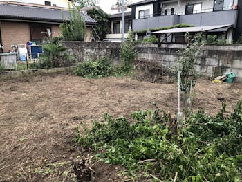 栃木県のお客様の庭木の剪定工事　具体的な工事内容6