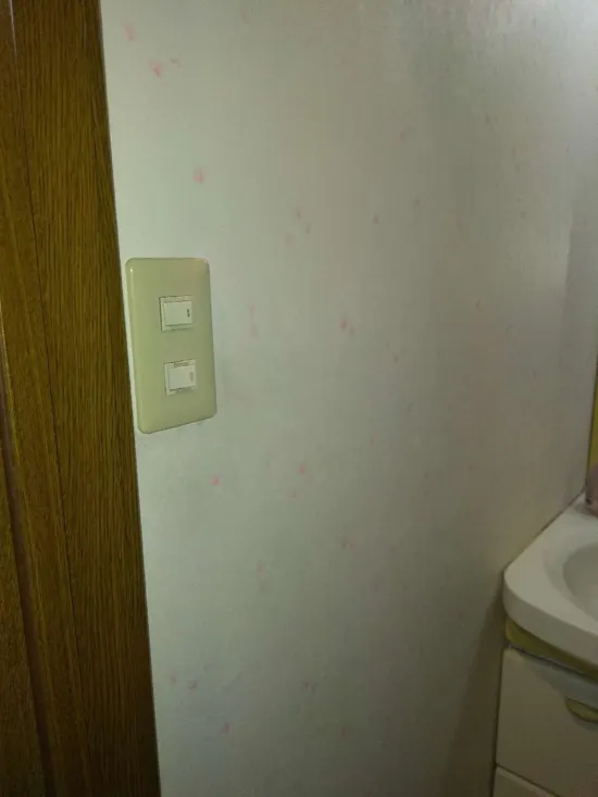 工事前　
東京都昭島市のお客様のスイッチ交換工事