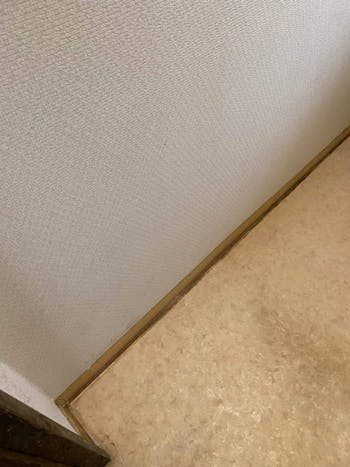 群馬県前橋市のお客様のトイレ巾木交換工事　具体的な工事内容2