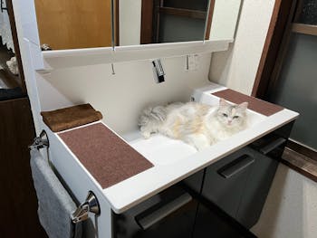 山梨県のお客様の引き戸玄関ドア、洗面化粧台工事、トイレ工事パック　具体的な工事内容4