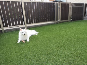 上尾市のお客様のフェンス設置・ドッグラン新設工事