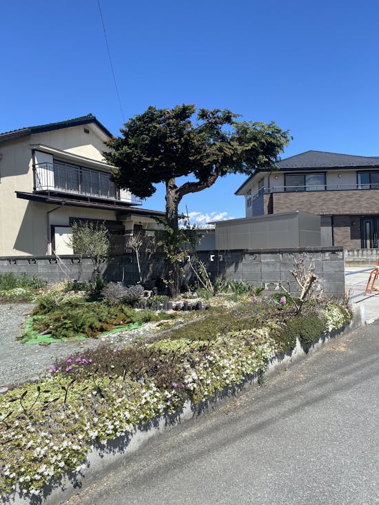 工事後　南アルプス市のお客様の庭木の剪定工事