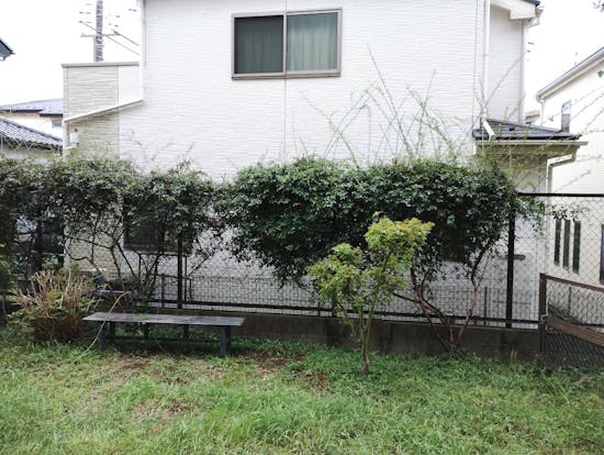 工事前 埼玉県のお客様の庭木剪定作業