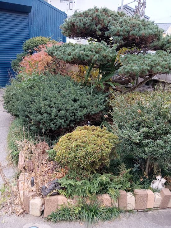 工事前 埼玉県北葛飾郡のお客様の前庭リフォーム(駐車場)工事