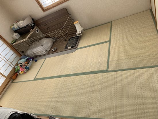 工事後 狭山市のお客様の畳張替え・畳表替え工事