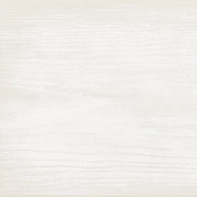 白茶